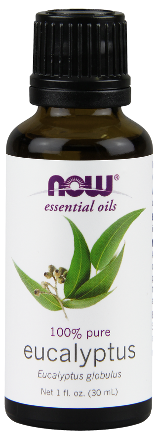 NOW Eucalyptus Globulus Oil - Beauty Bar & Supply